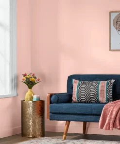Valspar Coral Mist