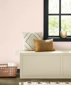 Valspar Champagne Pink