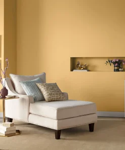Valspar Ambitious