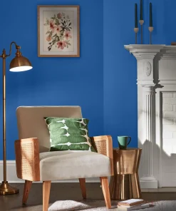 Valspar Biro Blue